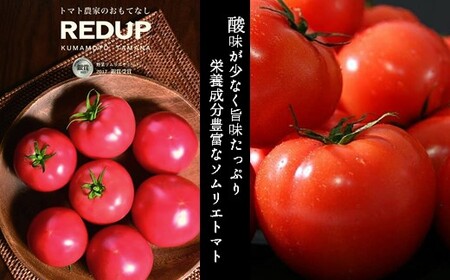 【訳あり】大玉トマト 4kg～5kg ×２｜レッドアップ
