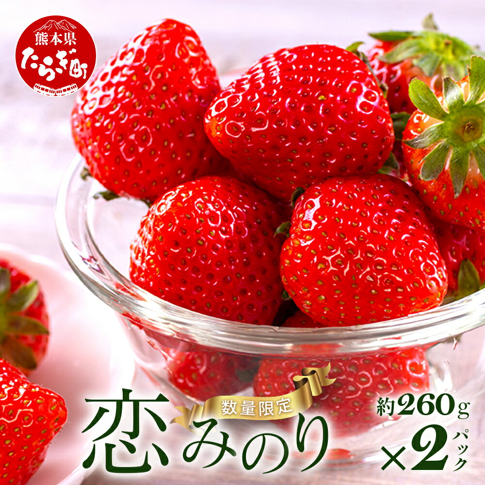 【ふるさと納税】 熊本県産 いちご【恋みのり】約260g×2パック 2026年1月～発送 坂下農園 産地直送 国産 新鮮 フレッシュ イチゴ 2パック 苺 フルーツ 果物 春 名産 熊本 多良木町 ビタミン 旬 いちご フルーツ 果物 くだもの 果実 熊本県 多良木町 送料無料