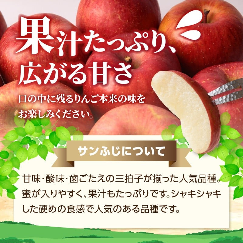 《先行受付》特別栽培 訳あり 家庭用サンふじ約10kg 【2027年1月～発送予定】