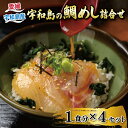 【ふるさと納税】 鯛めし 4食 セット 辻水産 真鯛 鯛 マダイ タイ 冷凍 真空パック お手軽 刺身 お刺身 お刺し身 刺し身 海鮮丼 漬け丼 漬け 郷土料理 鯛飯 海鮮 海の幸 魚介 人気 加工品 産地直送 国産 愛媛 宇和島 D012-062001