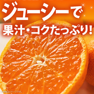 【2026年先行予約】プレミアムブランド 田村みかん Lサイズ 秀品  約5kg 和歌山県産 蜜柑 ミカン フルーツ 果物 ギフト お歳暮 完熟_AB7305