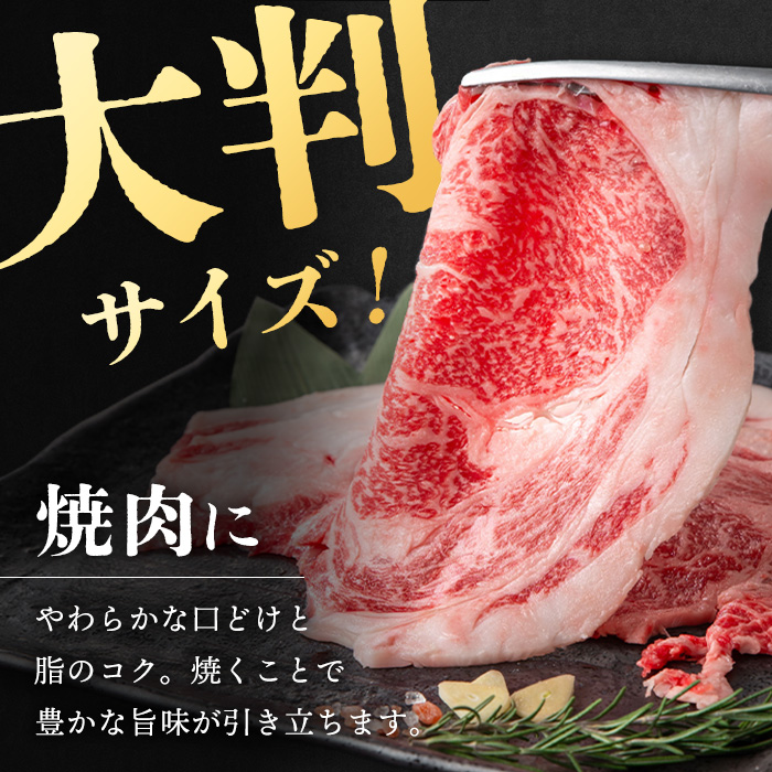 i1190 《毎月数量限定》A4～A5 鹿児島和牛ロース大判焼肉スライス(計500g・250g×2枚) 黒毛和牛 和牛 ロース スライス A4 A5 等級 大判 大きい サイズ 焼肉 用 バーベキュー