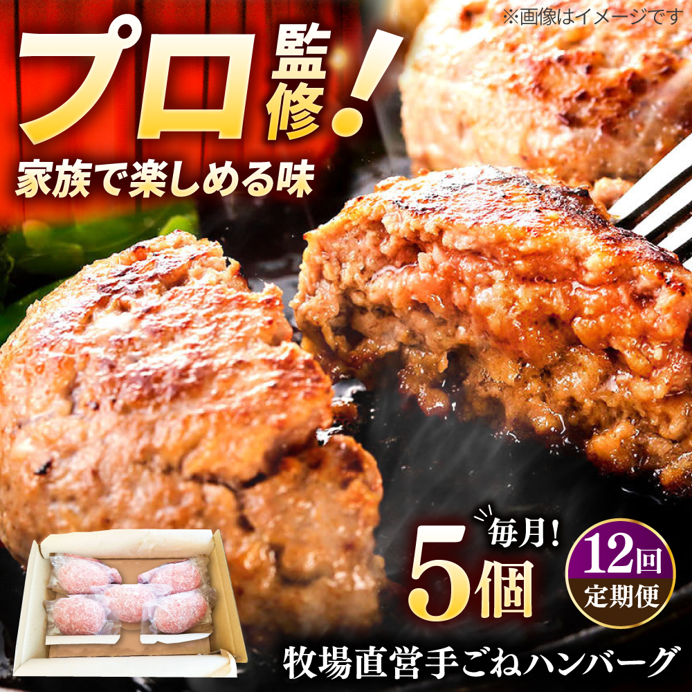 【12回定期便】牧場直営店の手作りハンバーグ（140g×5個）【川崎畜産】 [IAX059]