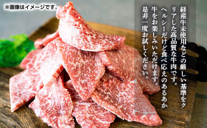 GI認証 あか牛 焼肉 用 切り落とし 600g【くまふる】 [ZDX036]