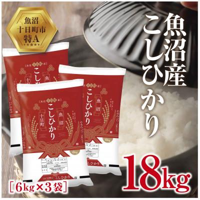 ふるさと納税 十日町市 新潟県 魚沼産 こしひかり 6kg×3袋 計18kg 精米 (お米の美味しい炊き方ガイド付)