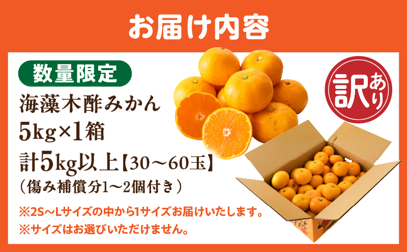 訳あり 数量限定 海藻木酢みかん 計5kg以上 傷み補償分付き フルーツ 果物 くだもの 柑橘 みかん 国産 期間限定 食品 家庭用 自宅用 B品 わけあり オレンジ デザート おやつ おすすめ おす