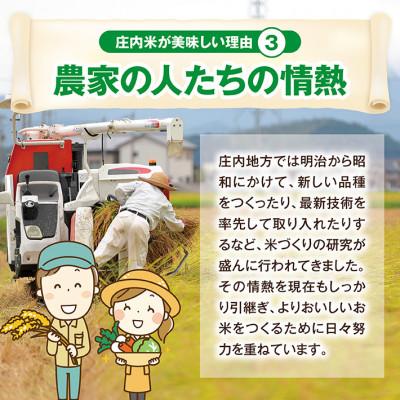 ふるさと納税 酒田市 令和7年産【精米】雪若丸 10kg(5kg×2袋) 白米 山形県庄内産 |  | 03