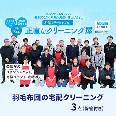 【ふるさと納税】羽毛布団 布団クリーニング 3点 最大10ヶ月 1年間有効 宅配 保管付き チケット 寝具 掛け布団 敷布団 サービス券 静岡県浜松市 ギフト