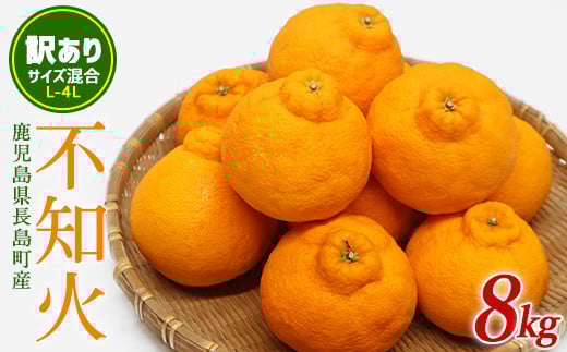 
            【先行予約】《数量限定・訳あり品》不知火 L~４L サイズ混合 ８kg【山上農園】 yamagami-7371
          