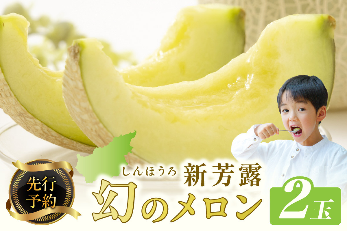 
            【先行予約】幻のメロン 新芳露 2玉（2025年7月下旬～発送）　国産 旬 メロン 希少メロン 先行予約 期間限定 フルーツ 贈答用 箱　BF00004
          