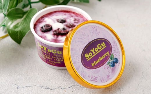 SOYOGU8個セット ブルーベリー 豆乳 8個 阿蘇 アイス 熊本県産