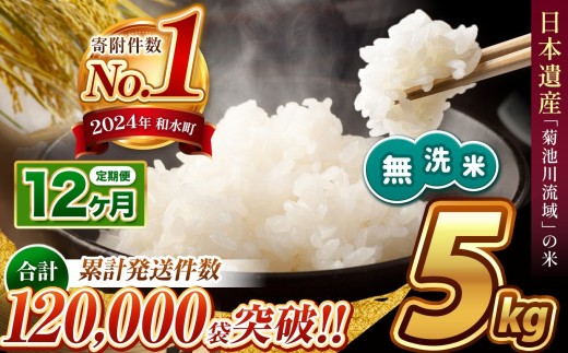 【 新米予約 】【 定期便12回 】令和8年産 熊本県産 ほたるの灯り 無洗米 5kg | 小分け 5kg 単位 5kg 10kg 15kg  20kg 25kg 30kg 熊本県 熊本 くまもと 和水町 なごみ 訳あり 規格外 不揃い 単一米 単一原料米 ブレンド 複数原料米 こめ 米 ごはん 銘柄米 日本遺産 返礼品 無洗米 独自ブレンド
