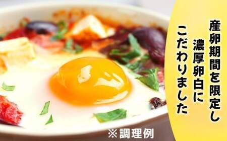ぷりんセス・エッグ 30個『北川鶏園 房総のあおぞら農場』｜鶏卵 [0250]