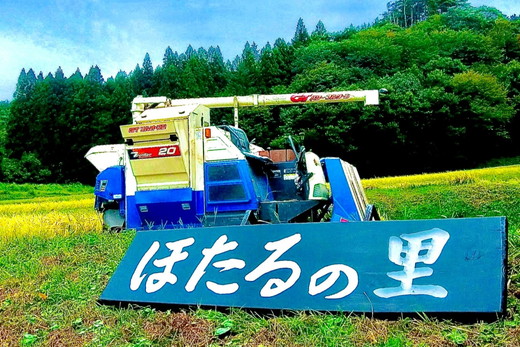 特別栽培のこしひかり【横岡米】那須ブランド認定品 上白米 3kg 〔P-405〕 | 米 精米 減農薬 コメ 那須町 栃木県 ※離島への配送不可