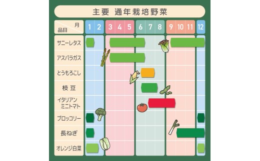 鈴木アル・ファームで育てている野菜です。