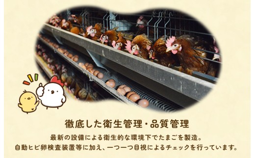 《訳あり》九十九里ファームこだわりたまご 30個～あおい海・みどりの里～（赤玉or白玉） ／ たまご 卵 玉子 タマゴ 赤玉 白玉 30個 卵かけご飯 新鮮 旨み 甘み 贈答用 贈答 ギフト 贈り物 