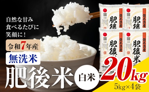 熊本県産 肥後米 無洗米 白米 20kg 1袋5kg 米 お米 令和7年産 九州産 熊本県産 送料無料【30日以内に出荷予定（土日祝除く）】 無洗米 白米 米