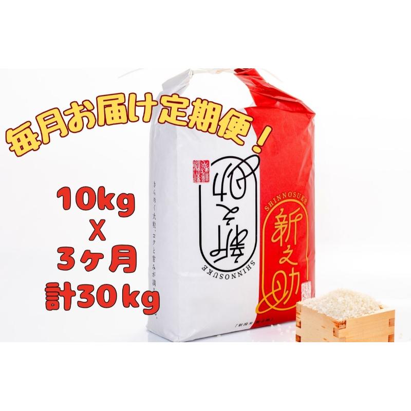 【ふるさと納税】【通年受付】魚沼産新之助　精米10kg（5kgx2袋）全3回 十日町市 十日町 米　お届け：2025年10月上旬以降、ご入金確認後順次配送予定。