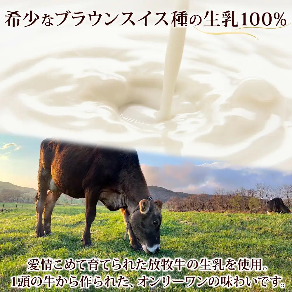 牧之瀬牧場 アイスクリーム ミルク 2L 業務用 ブラウンスイス 2リットル アイス ジェラート 牧場 生乳 牛乳 スイーツ デザート おやつ 送料無料 北海道 弟子屈町 16000円 1807