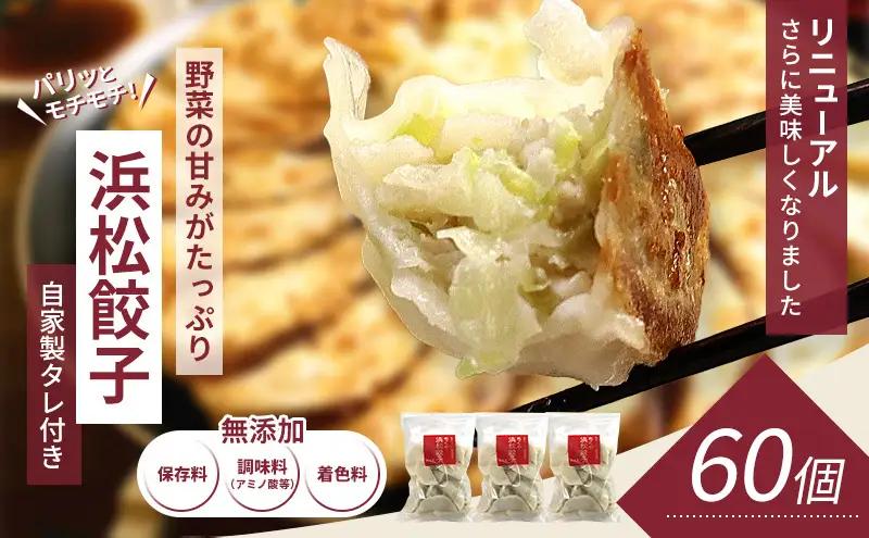 餃子 浜松餃子 60個 知久屋 小袋 冷凍餃子 餃子