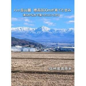【令和7年産】信州八ヶ岳山麗 長野県産コシヒカリ 玄米　5kg(5kg×1袋)【1719530】