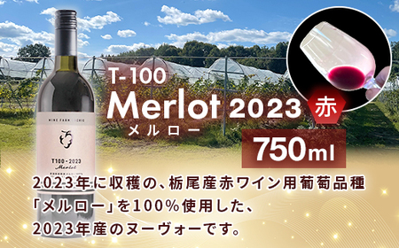 24-08T100 ワイン720ｍｌ×3本セット【ワインファームとちお】