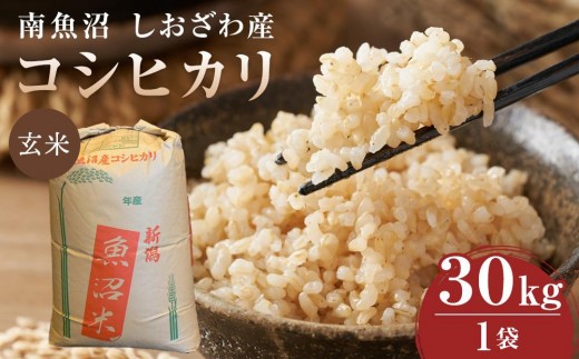 【令和７年度産】３０Ｋｇ玄米  南魚沼しおざわ産コシヒカリ《語り伝えられる地》【南魚沼 コシヒカリ 令和 米 お米 産地直送 日本米 魚沼産 食料品 特産品 ふるさと納税 農産物 米の通販 高級米 プレミアム米 美味しい米 新潟県産 米ギフト】