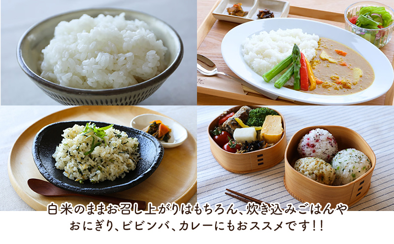 特別栽培米コシヒカリ 寿々喜米 5kg（精米） 特別栽培米 コシヒカリ 米 お米 こめ コメ おこめ 新潟 