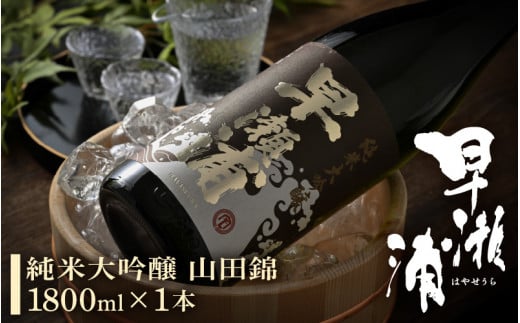 早瀬浦 純米大吟醸 山田錦 1800ml × 1本 【入手困難 日本酒 就職祝い 転職祝い ハレの日】[m06-d002]