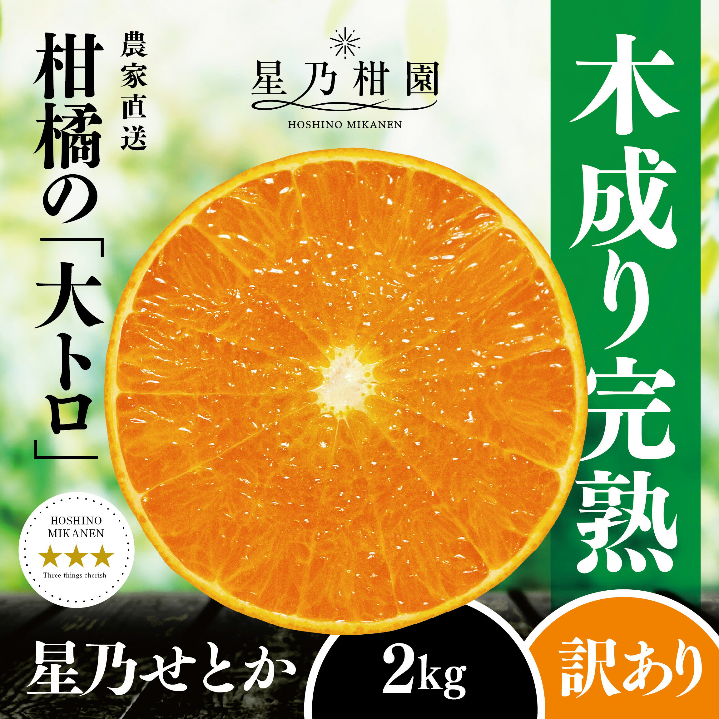 【ふるさと納税】【訳あり】星乃せとか 柑橘の大トロ(2kg)【C45-92】_【1625775】