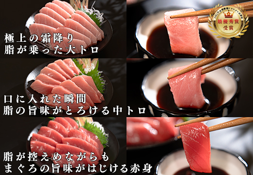 【定期便 4回】高知県産 本マグロ 大トロ・中トロ・赤身 (不定貫) 月替わり