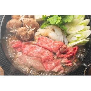 訳あり!博多和牛しゃぶしゃぶすき焼き用(肩ロース肉・肩バラ肉・モモ肉)500g(大牟田市)【配送不可地域：離島】【1560490】