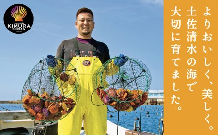 ヒオウギ貝22個セット（ホタテの仲間）アウトドア キャンプ 海鮮BBQ 魚貝 刺身 生 貝殻付 活 貝柱 酒蒸し バーベキュー【R00343】