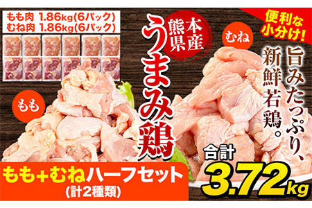 鶏肉 うまみ鶏 もも+むねハーフセット(計2種類) 合計3.72kg 鶏肉 《1-5営業日以内に出荷予定(土日祝除く)》｜鶏肉鶏肉鶏肉鶏肉鶏肉鶏肉鶏肉鶏肉鶏肉鶏肉鶏肉鶏肉鶏肉鶏肉鶏肉鶏肉鶏肉鶏肉鶏肉鶏肉鶏肉鶏肉鶏肉鶏肉鶏肉鶏肉鶏肉鶏肉鶏肉鶏肉鶏肉鶏肉鶏肉鶏肉鶏肉鶏肉鶏肉肉鶏肉鶏肉鶏肉鶏肉鶏肉鶏肉鶏肉鶏肉鶏肉鶏肉鶏肉鶏肉鶏肉鶏肉鶏肉鶏肉鶏肉鶏肉鶏肉鶏肉鶏肉鶏肉鶏肉鶏肉鶏肉鶏肉鶏肉鶏肉鶏肉鶏肉鶏肉鶏肉鶏肉鶏肉鶏肉鶏肉鶏肉鶏肉鶏肉鶏肉鶏肉鶏肉鶏肉鶏肉鶏肉鶏肉鶏肉鶏肉鶏肉鶏肉鶏肉鶏肉鶏肉鶏肉鶏肉鶏肉鶏肉鶏肉鶏肉鶏肉