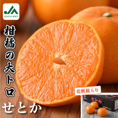 【先行受付】せとか (化粧箱入) プレミアム柑橘 3L～L 10～15玉 KC00630