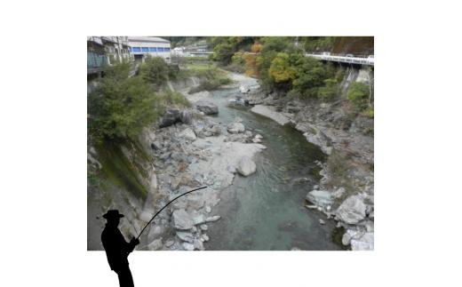 アウトドア イベント 体験 「面河川の鑑札（遊漁券）：石鎚山から仁淀川に繋がる清流 ”面河川” での渓流釣り（腕章A）」｜家族 旅行 男の子 女の子 夏休み 長期休暇 愛媛 久万高原町