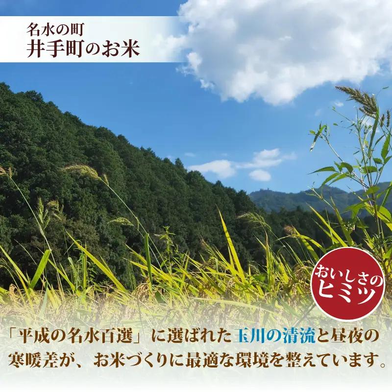新米 令和8年産 ヒノヒカリ 5kg 米