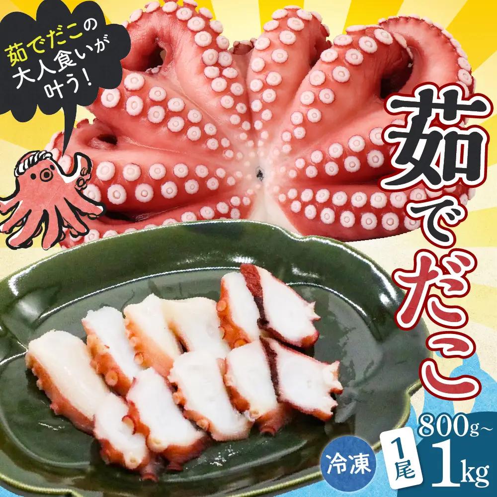 冷凍 茹でだこ 1尾 (約800g～1kg) たこ タコ 肉厚 正月 刺身 酢の物 唐揚げ たこ焼き 広島県 呉市 ku139-002-r