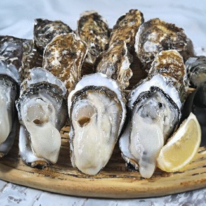 【ふるさと納税】松島牡蠣屋 殻付き牡蠣（生食用）選べる内容量 1～13kg 生牡蠣 宮城県産 牡蛎 牡蠣 カキ オイスター カキフライ 牡蠣鍋 海鮮 国産 魚貝類【菊地水産合同会社】ta620・ta621・ta622・ta623・ta624