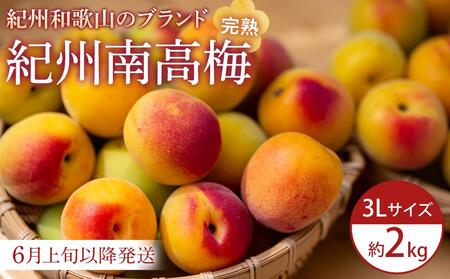【2026年6月上旬以降発送】紀州南高梅(完熟梅) 2kg〈大粒/3Lサイズ〉