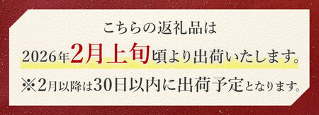 黒毛和牛 うらほろ完熟ビーフ すき焼き 600g 一般社団法人十勝うらほろ樂舎 《2026年2月出荷開始 30日以内に出荷予定(土日祝除く)》 北海道 浦幌町 黒毛和牛 国産牛 すき焼き 肩ロース う