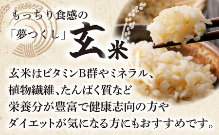 福岡県産米 夢つくしパックごはん 玄米 24P 【14日営業日以内に発送】 CY004