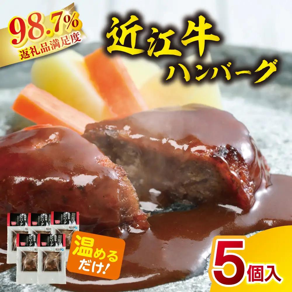 ハンバーグ 近江牛 600g (120g×5個) ブランド 牛肉 黒毛和牛 【 近江牛 】 AE14W