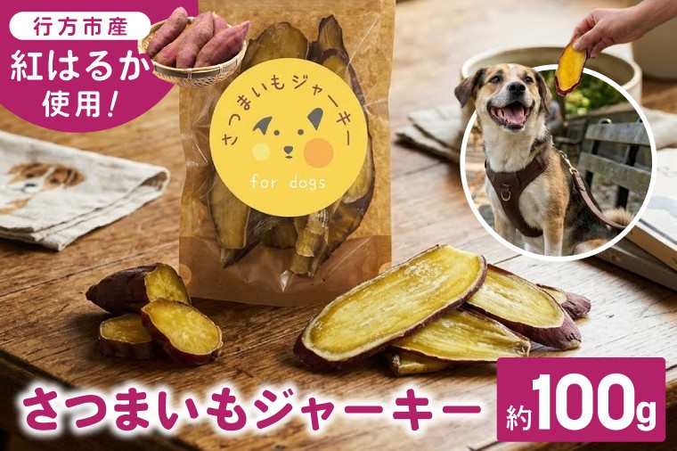 
                  さつまいもジャーキー　約100g　for dogs｜茨城県 行方市 ふるさと納税 さつまいも ペットフード おやつ 犬用 動物用食品 無添加 無着色 ドッグフード（HZ-1）
                