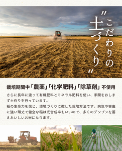SE0405　11月上旬配送／令和7年産【精米】つや姫マイスターが作った 特別栽培米『つや姫』10kg(5kg×2袋)［減農薬・減化学肥料］ MA