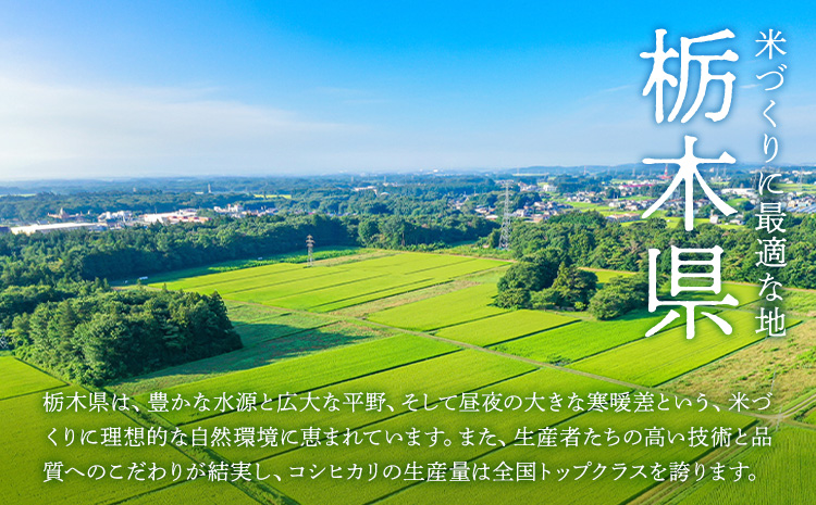 令和7年産 米 お米 コシヒカリ うまかん米 10kg JAおやま《30日以内に出荷予定(土日祝除く)》 栃木県 野木町産 コメ 米 ブランド米 こしひかり【栃木県共通返礼品】