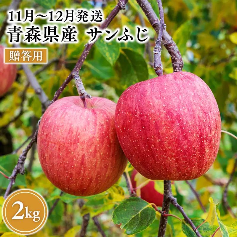 りんご 贈答用 サンふじ 約2kg りんご