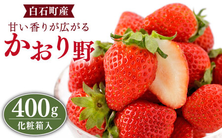 【先行予約 2027年1月～発送】 いちご かおり野 400g（化粧箱入り）いちご