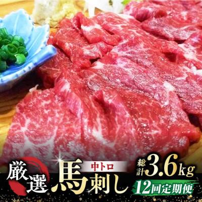 ふるさと納税 山鹿市 【毎月定期便】熊本馬刺し「なか園」厳選馬刺し　全12回