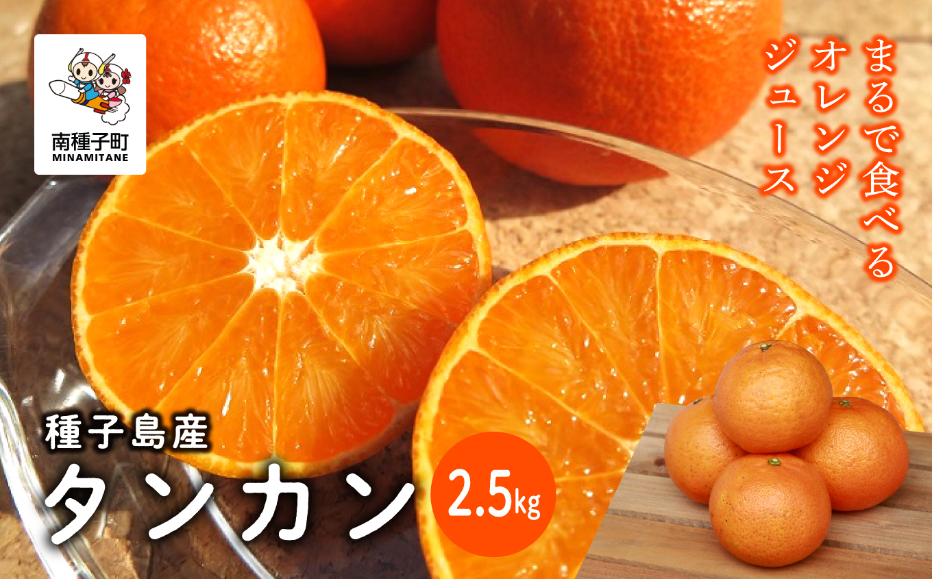 《 先行予約 》 【2026年2月中旬〜3月中旬頃順次発送】種子島産タンカン約2.5kg（12〜18玉）【南種子町果樹部会】
